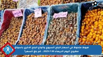 هبوط ملحوظ في أسعار البلح السيوي وأنواع البلح الأخرى بأسواق مطروح اليوم الأربعاء 30-7-2025.. كم بلغ السعر؟